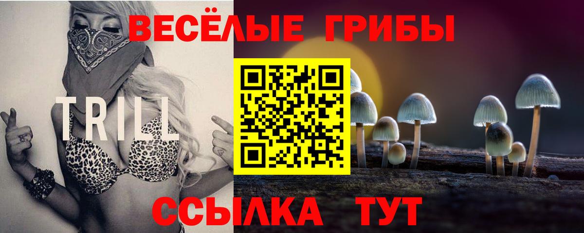 купить наркотики сайты  Псилоцибиновые грибы Psilocybe  Вход с VPN  Карачаевск 